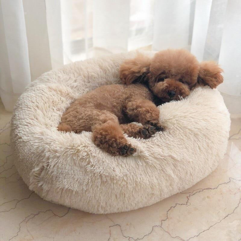 Poodle napping in the beige Nuzzinel Snooze calming donut dog bed