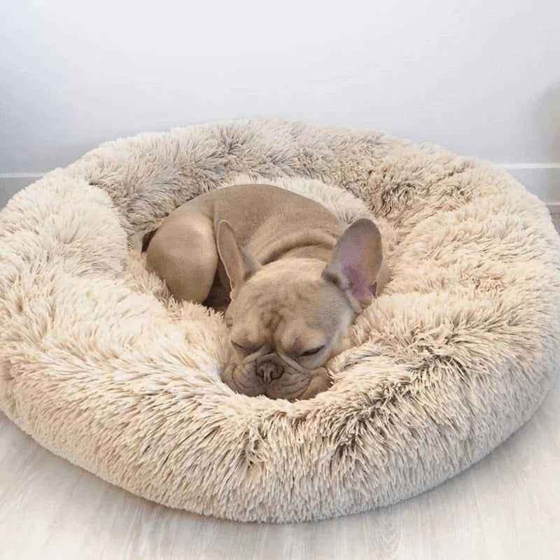 French bulldog asleep in the beige Nuzzinel Snooze calming donut dog bed