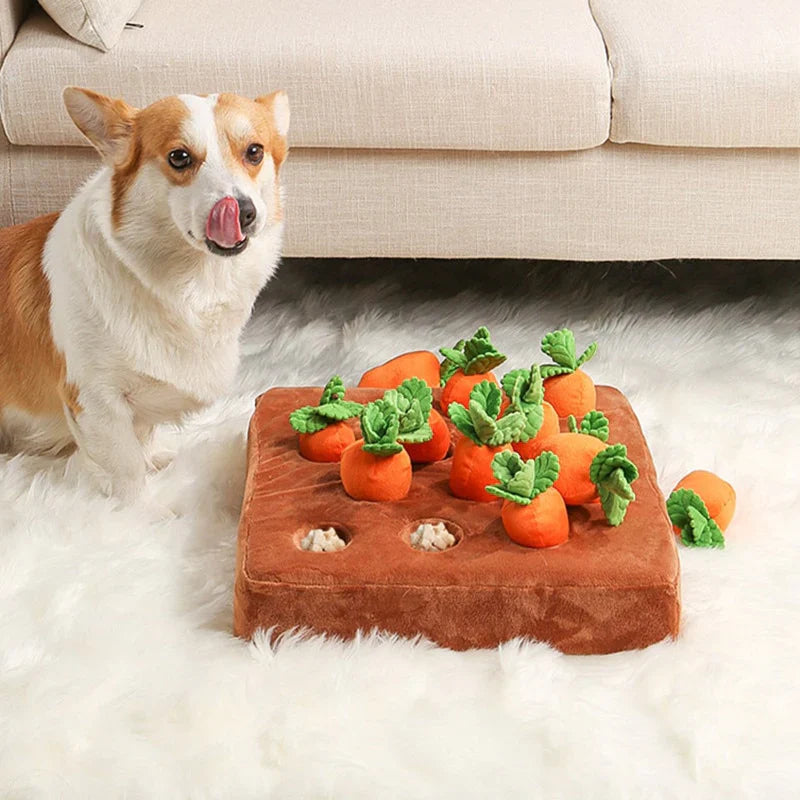 Dog beside the Nuzzinel Sprout carrot snuffle dog toy at home