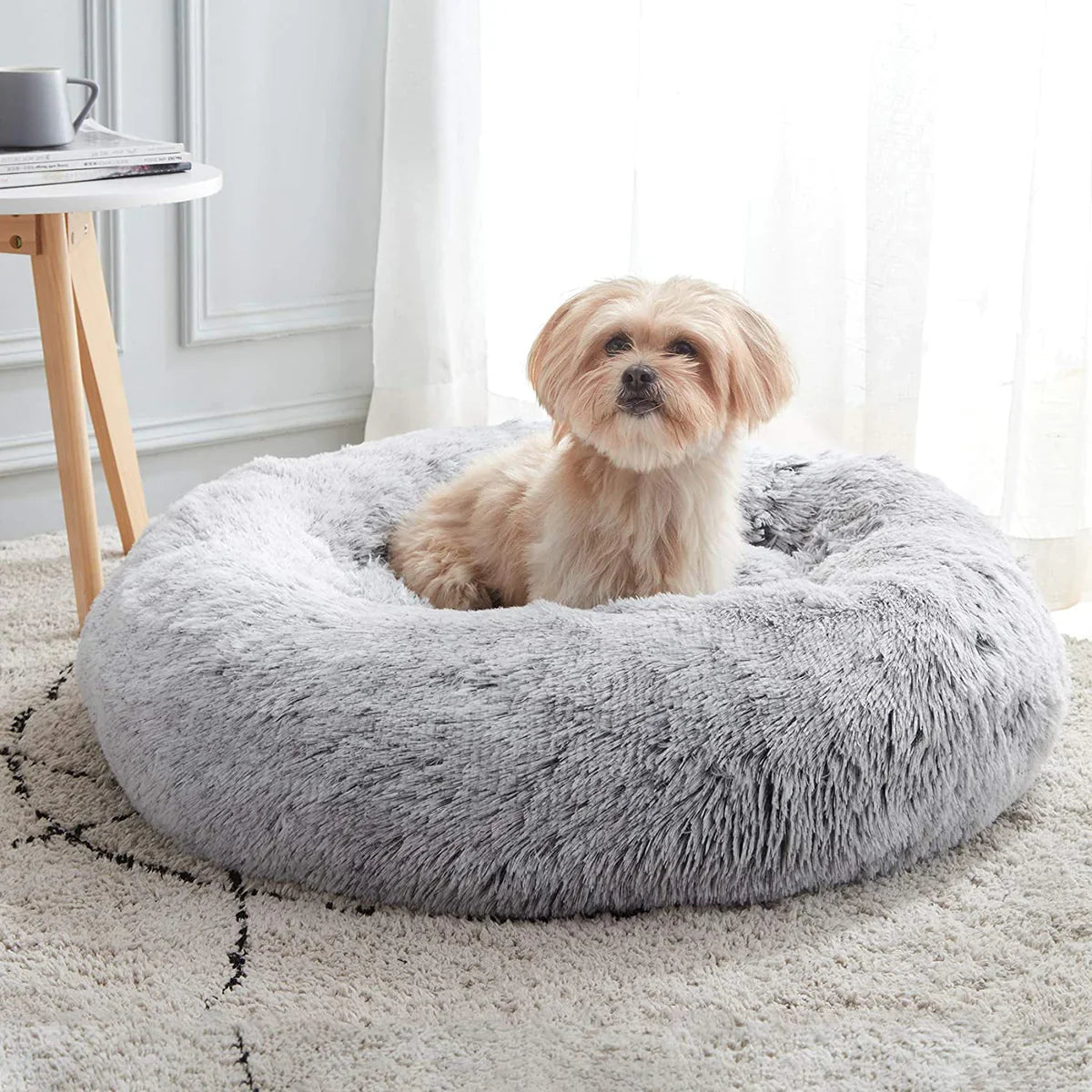 Small dog sitting in the light grey Nuzzinel Snooze calming donut dog bed