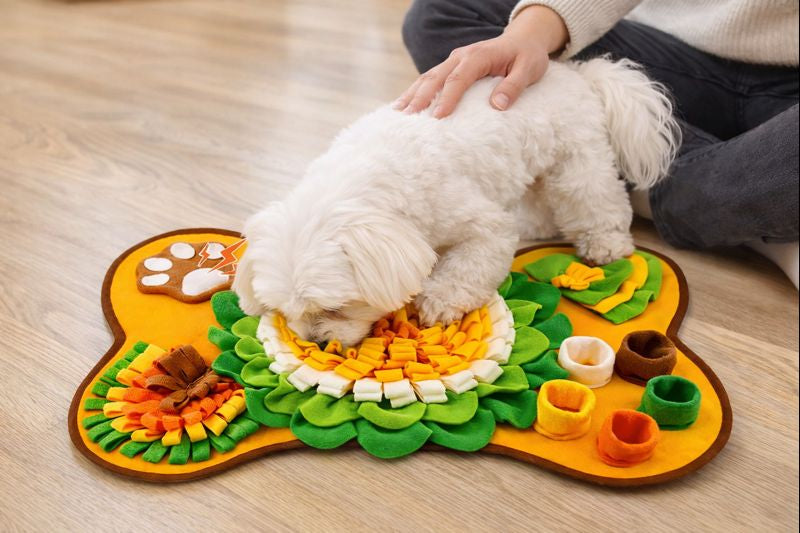 Truffle snuffle dog mat, colorful bone-shaped foraging design