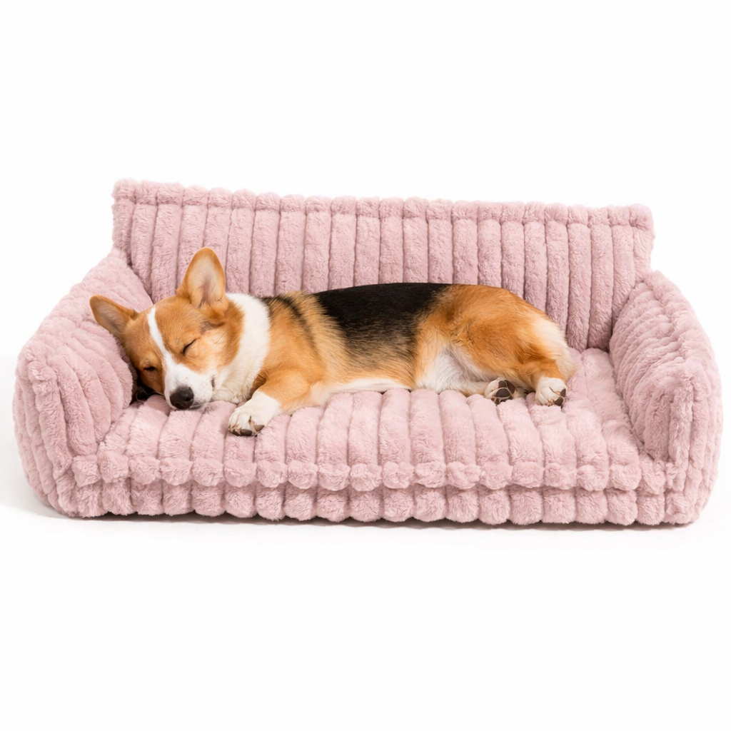 Corgi napping on the pink Snooze orthopedic dog sofa bed