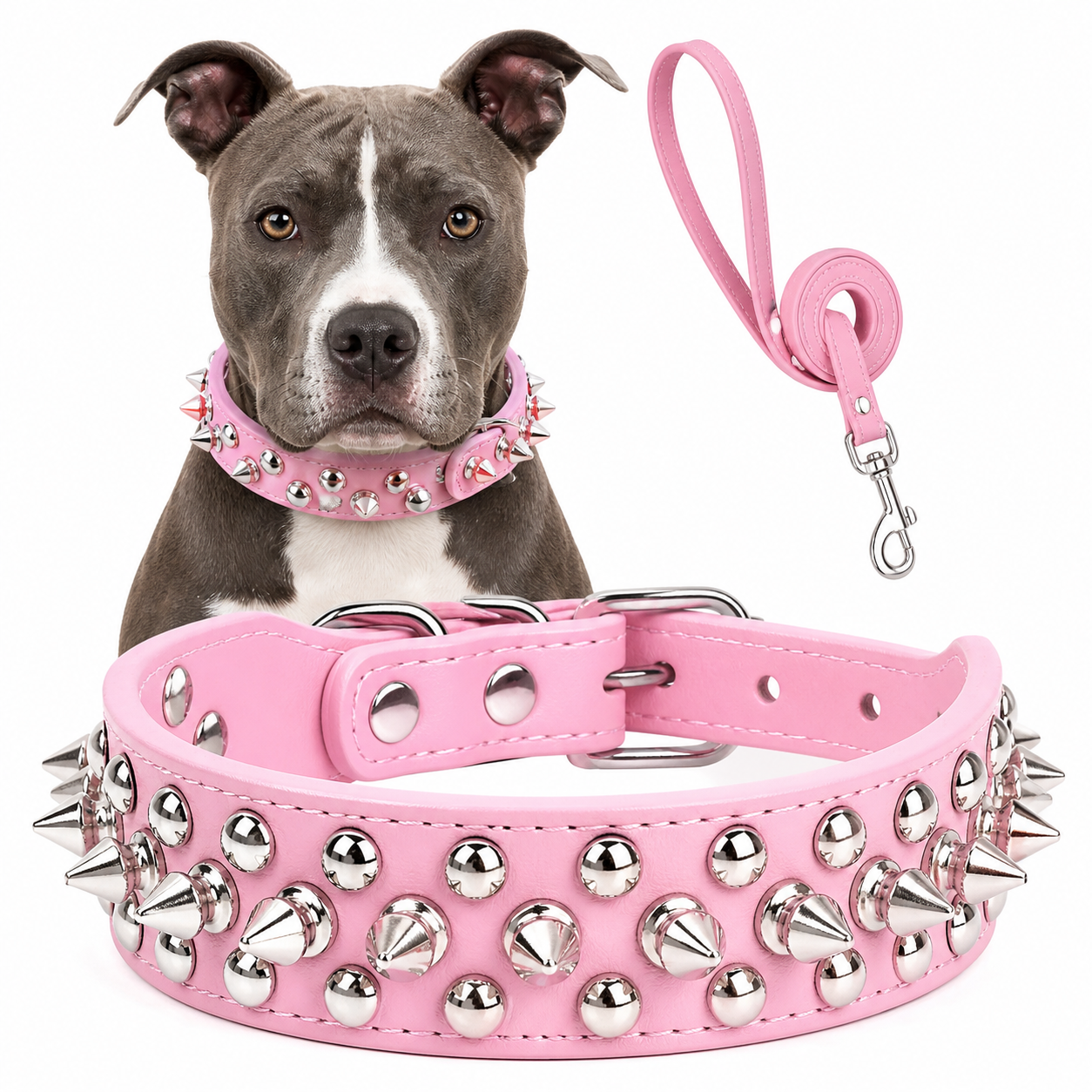 Rebel Studded Dog Collar & Leash Set