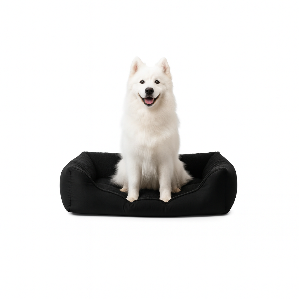 Dog sitting on the black Nuzzinel Puff bolster dog bed