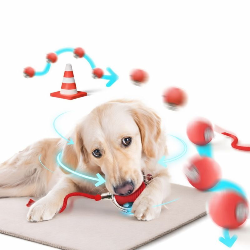 Golden retriever playing with the red Scoot smart rolling dog ball