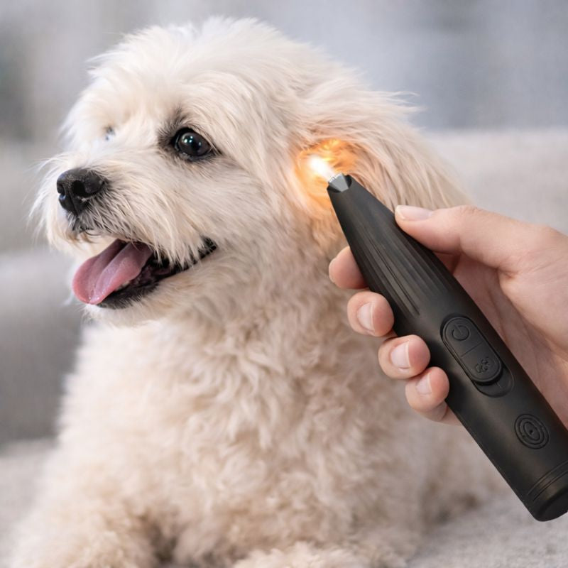 Fluffy dog groomed with the Buzz LED precision trimmer