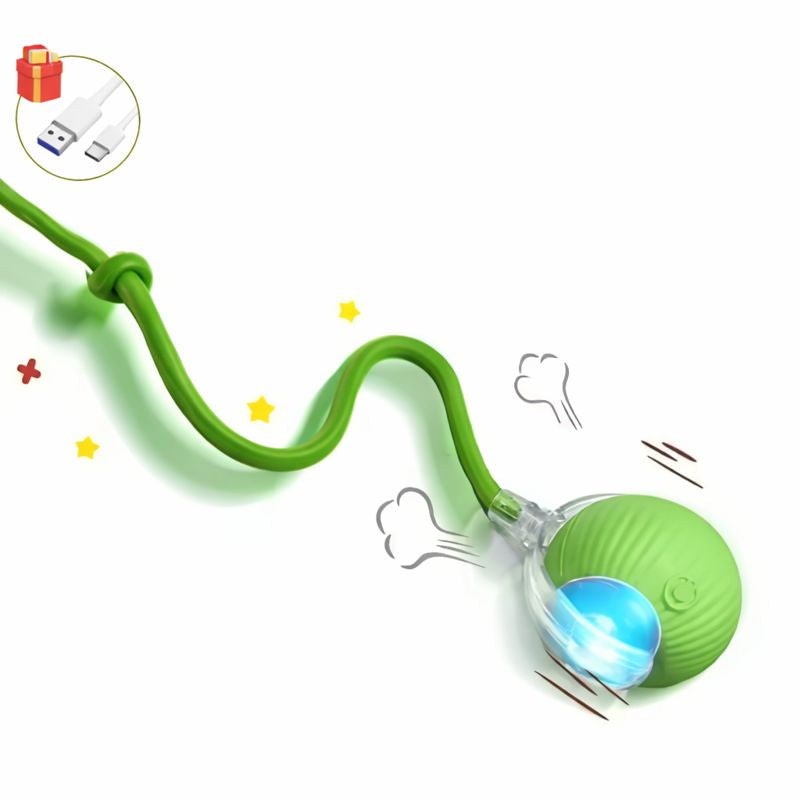 Scoot smart rolling dog ball in green with USB charging cable