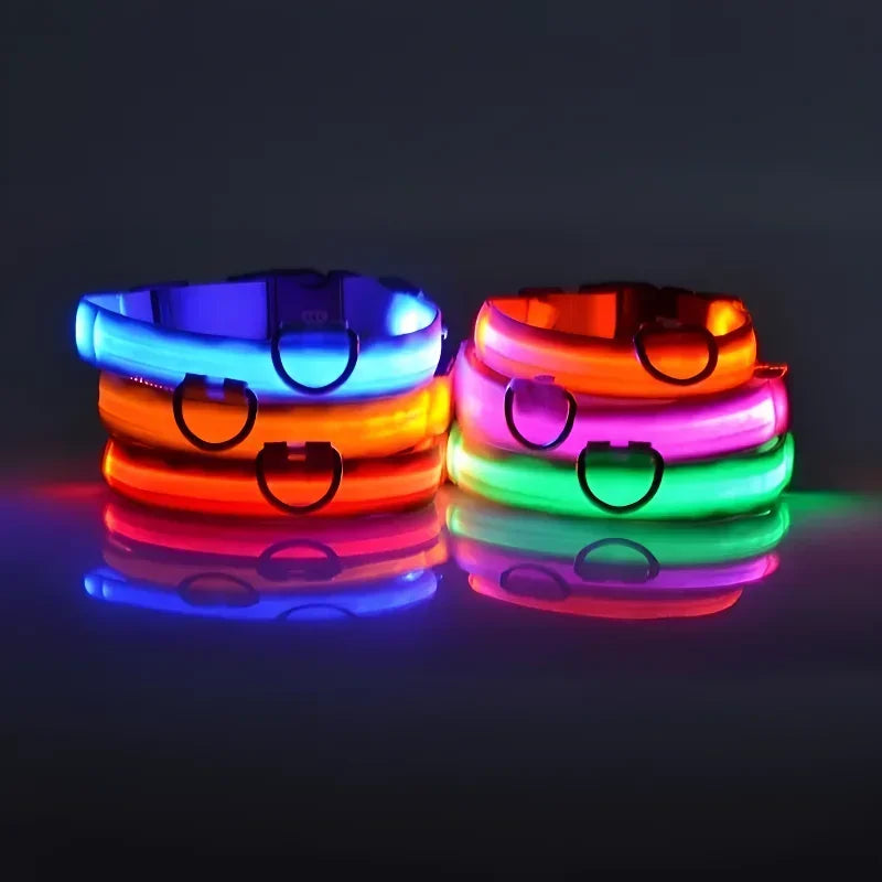 Glimmer LED dog collars glowing in multiple colors