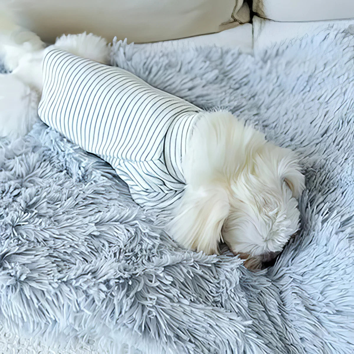 Small dog resting on a Puff silver-grey plush dog blanket