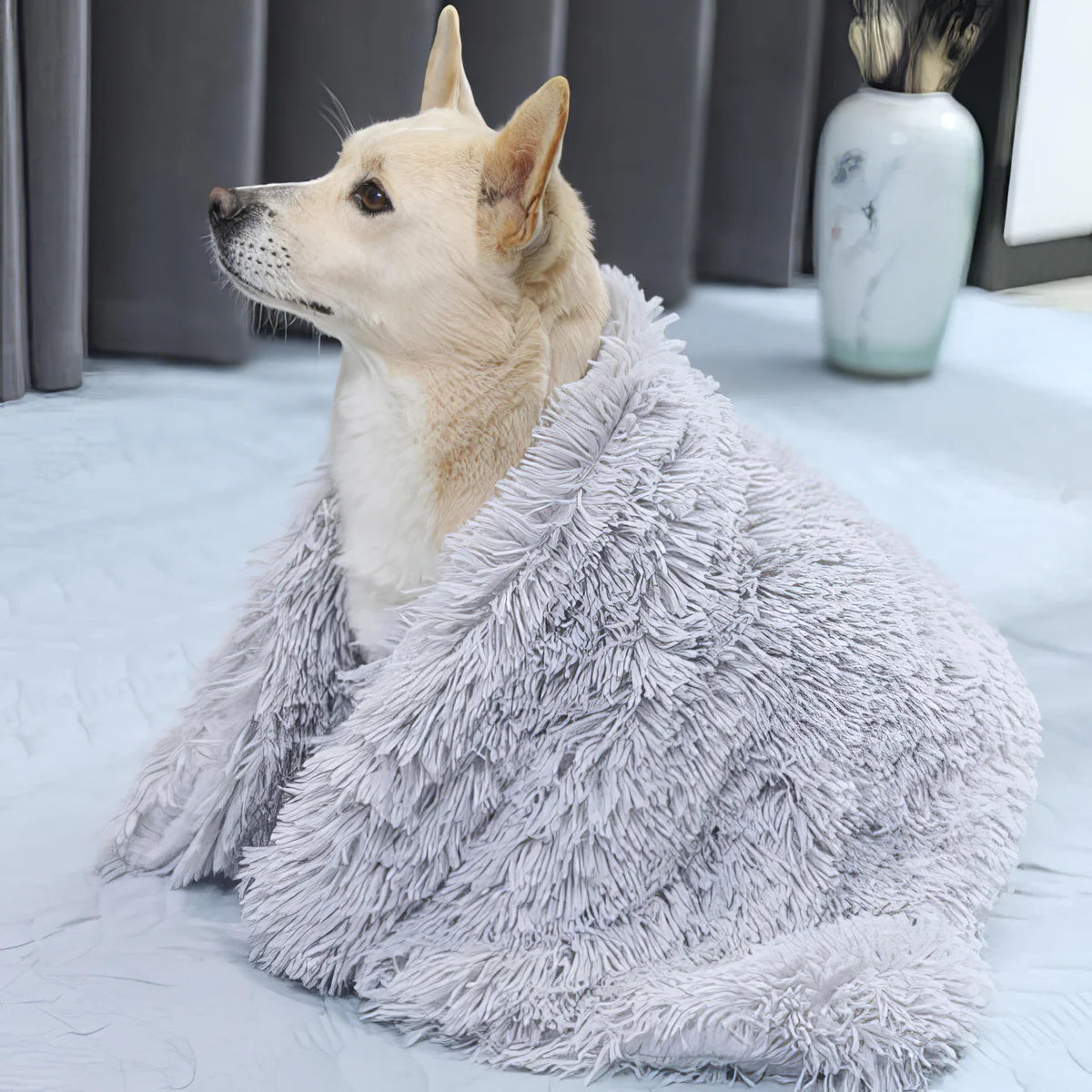 Dog wrapped in a Puff silver-grey plush dog blanket in a cozy room