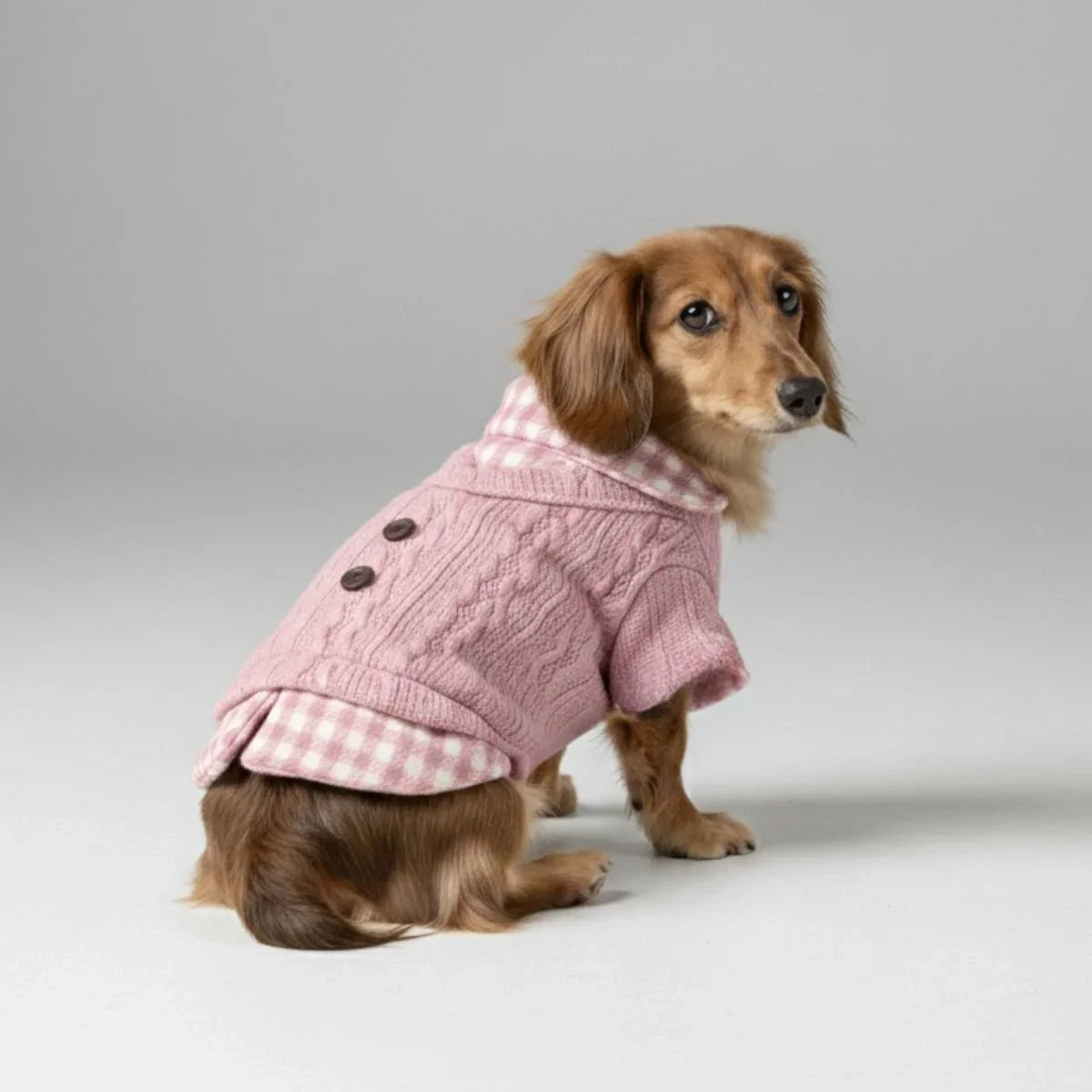 Small dog wearing a pink cable-knit dog sweater with a gingham plaid collar
