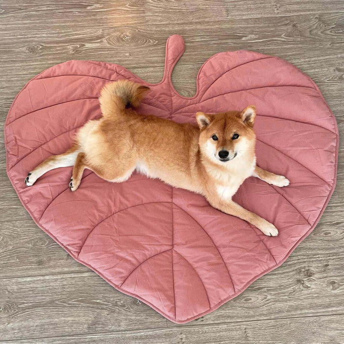 Dog resting on a Fern Anthurium Pink leaf-shaped dog mat