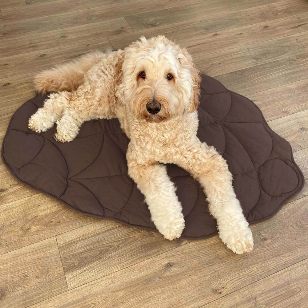Dog on a Fern Pinecone Brown leaf-shaped dog mat