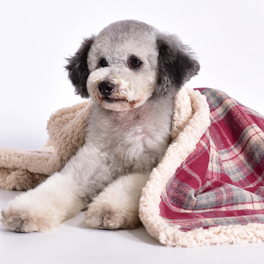 Rowan red plaid sherpa dog blanket