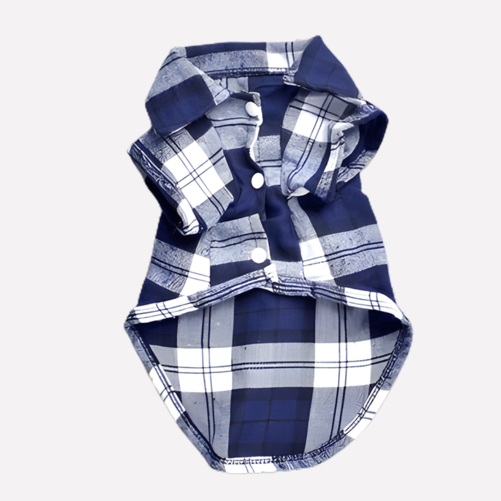Blue plaid button-down dog shirt