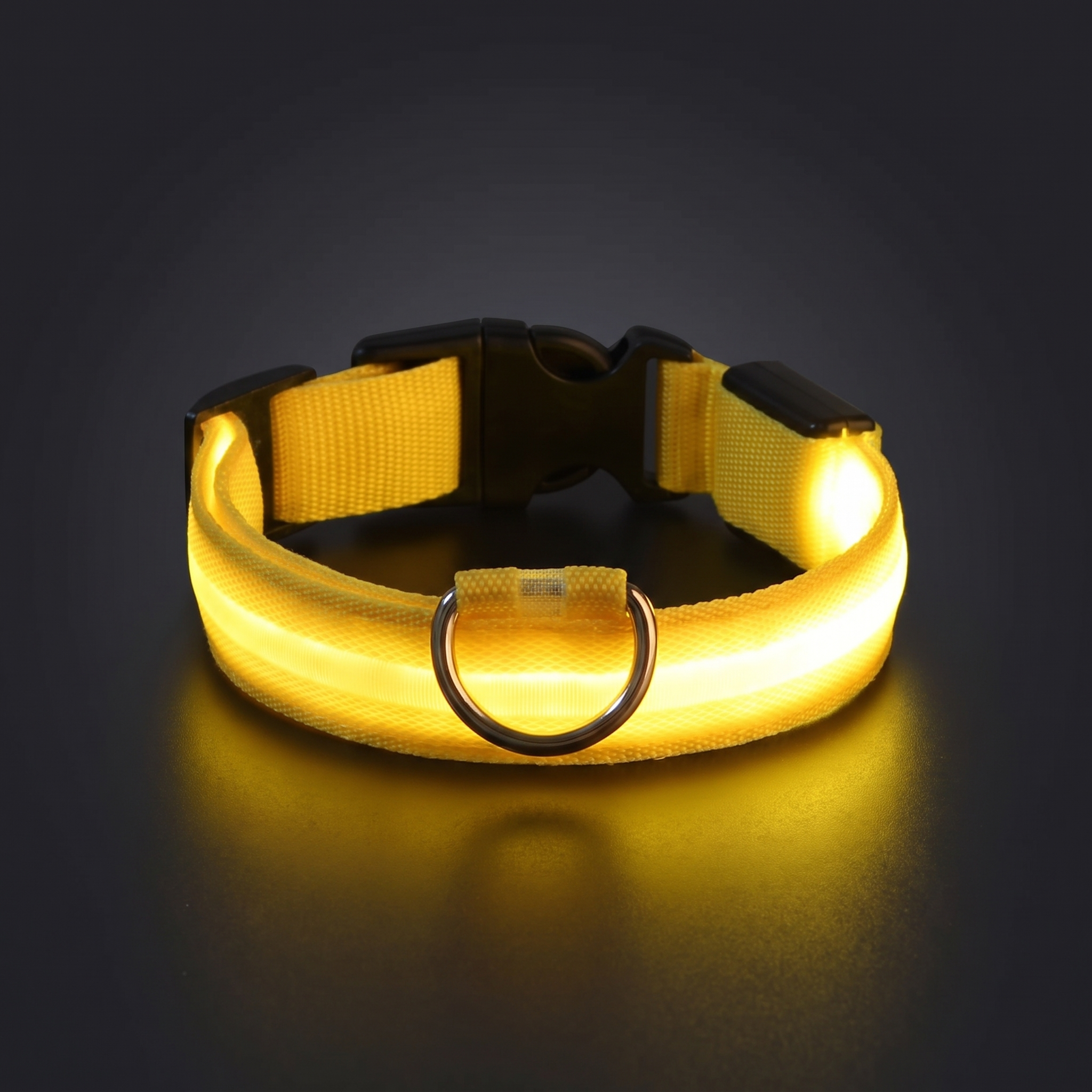 Glimmer LED dog collar glowing yellow