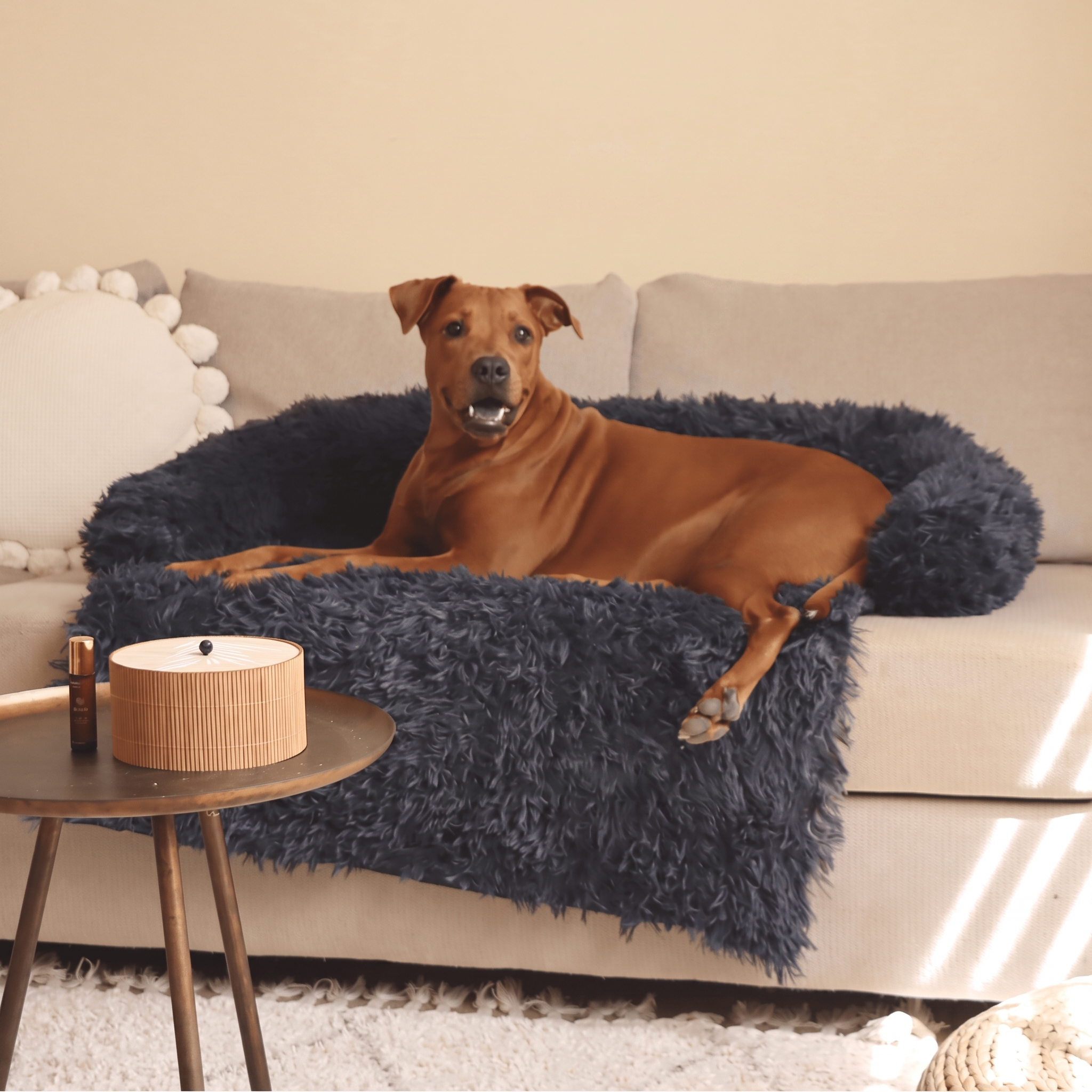 Dark grey Nuzzinel Teddy fluffy sofa dog bed with a dog on a couch