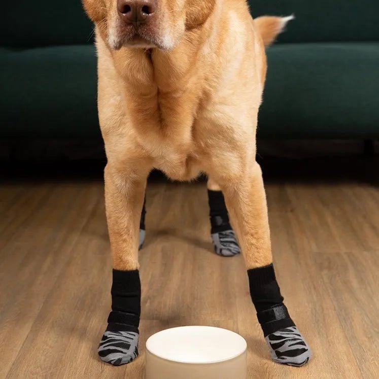 Dog standing steadily on hardwood in the Grippy Anti-Slip Dog Socks