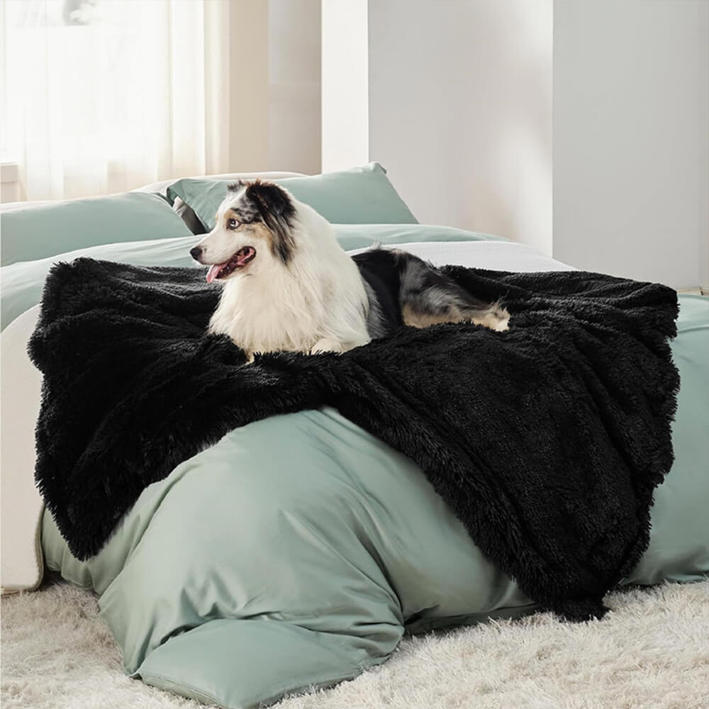 Black plush waterproof dog blanket