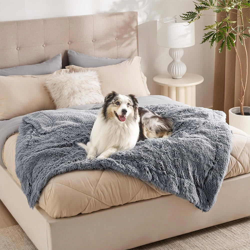 Dark grey plush waterproof dog blanket