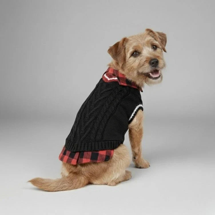 Small dog wearing a black cable-knit dog sweater vest with a buffalo-plaid collar