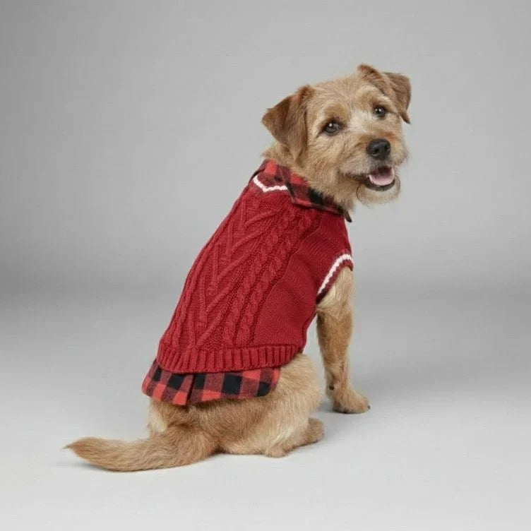 Small dog wearing a red cable-knit dog sweater vest with a buffalo-plaid collar