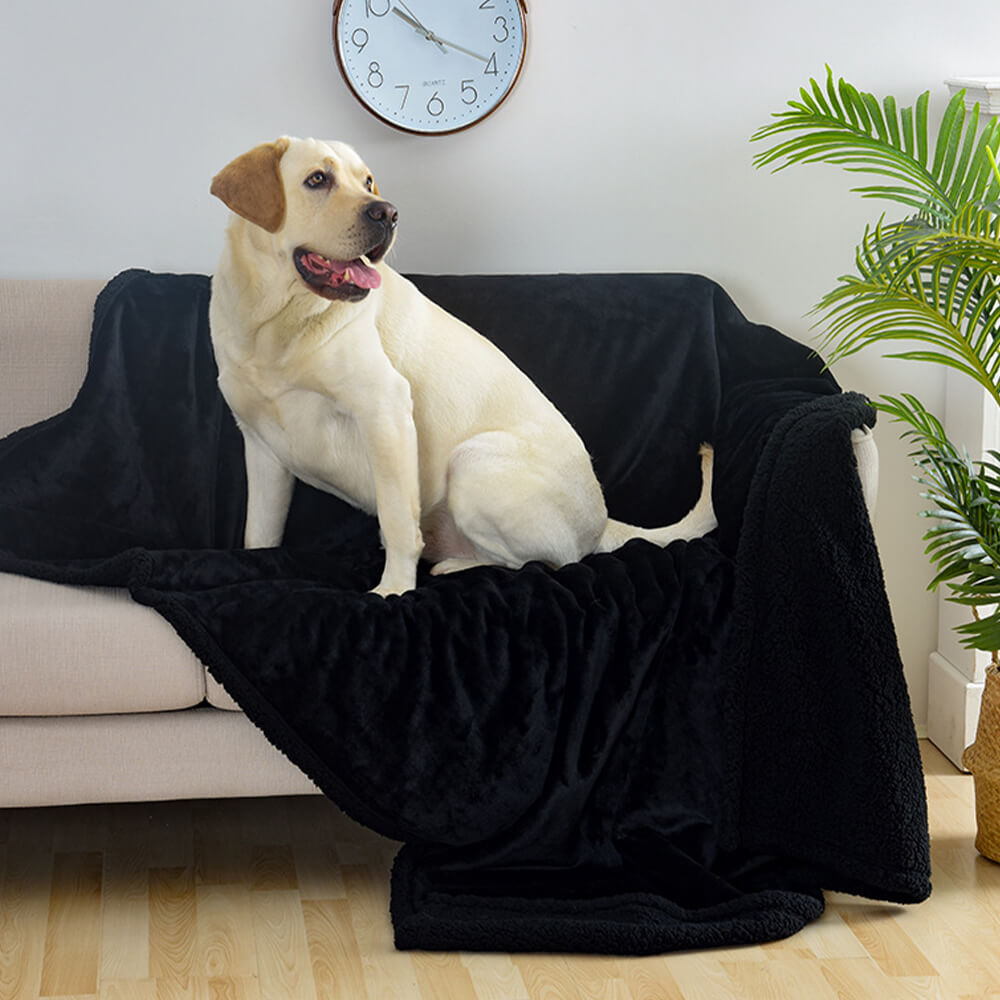 Labrador on the black Cabin sherpa dog blanket