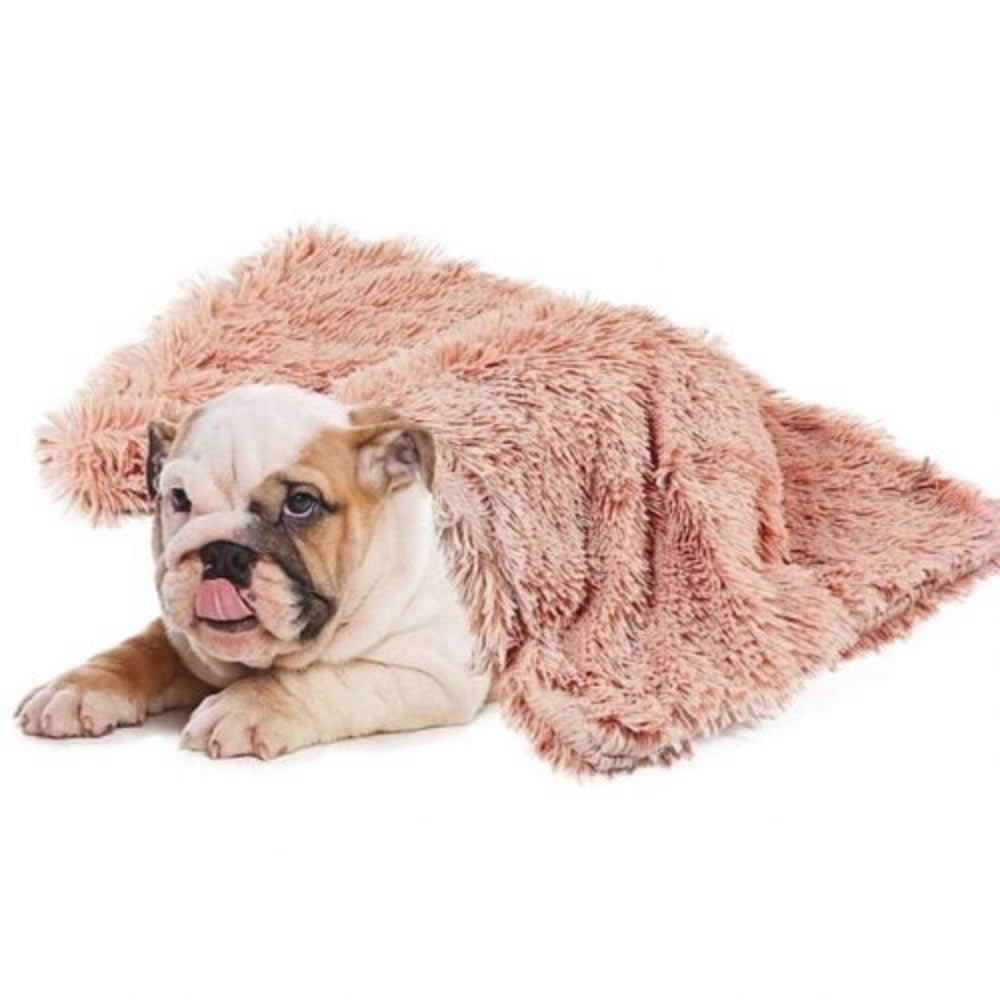 French Bulldog on a pink faux-fur dog blanket