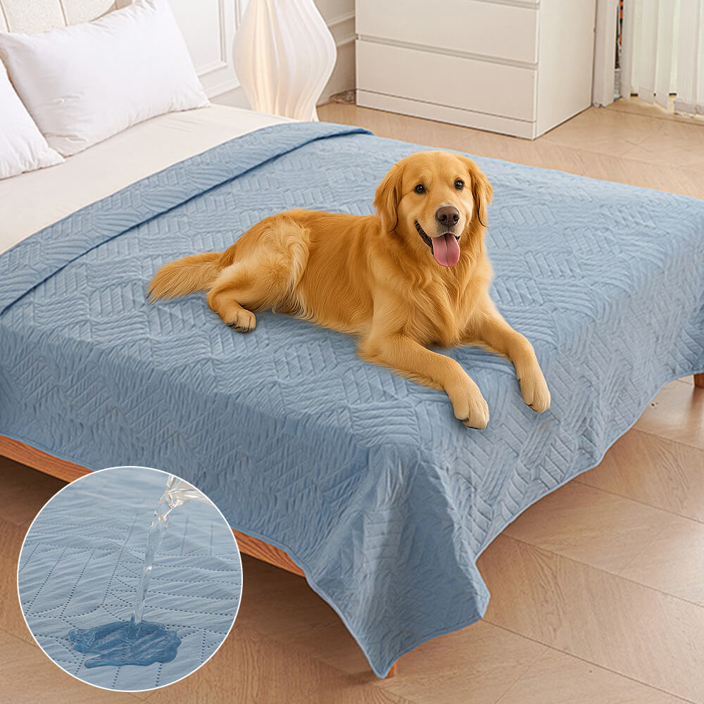 Shield waterproof dog blanket repelling liquid in Blue