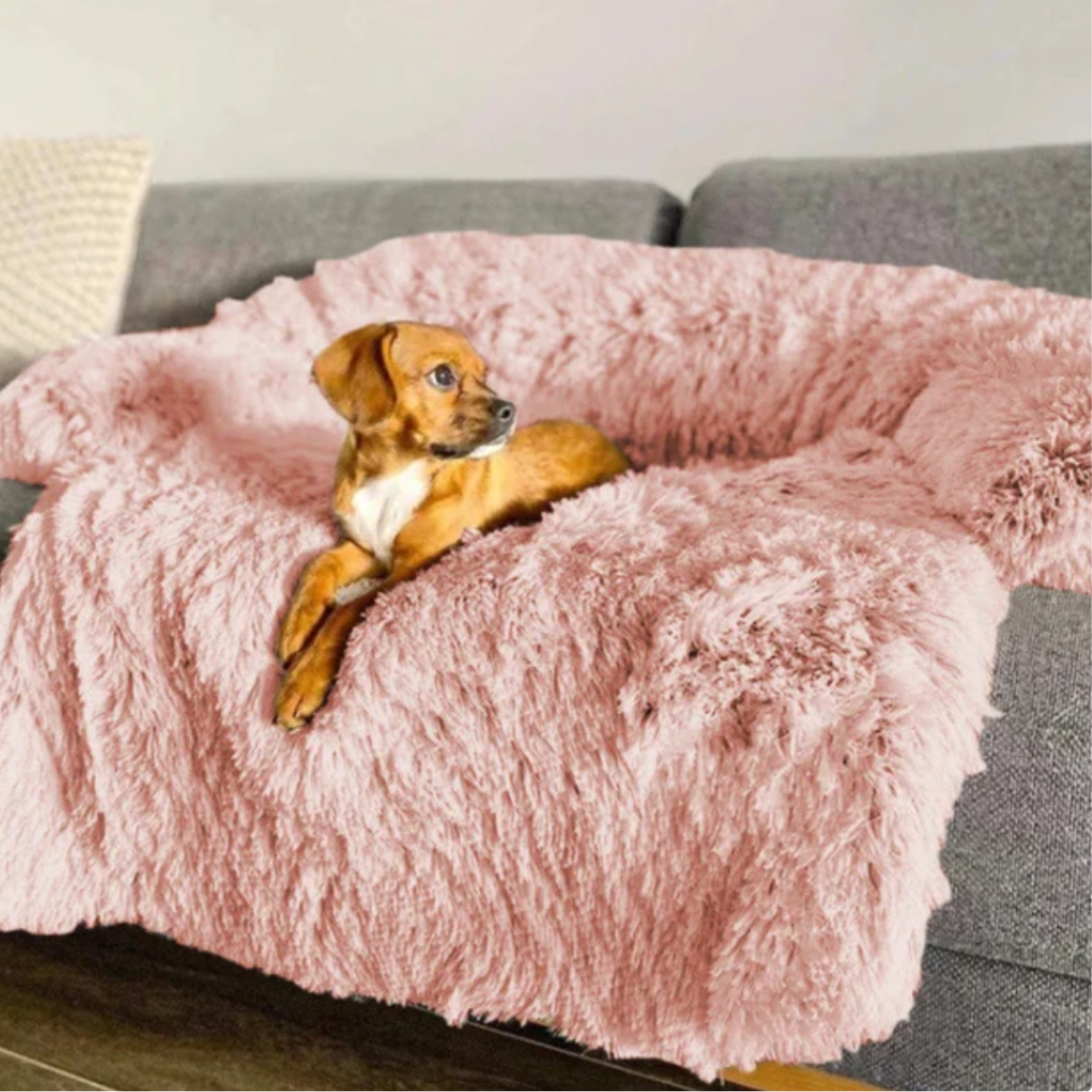Haven Faux Fur Sofa Protector Bed in Pink — dog lounging on the pink plush sofa protector