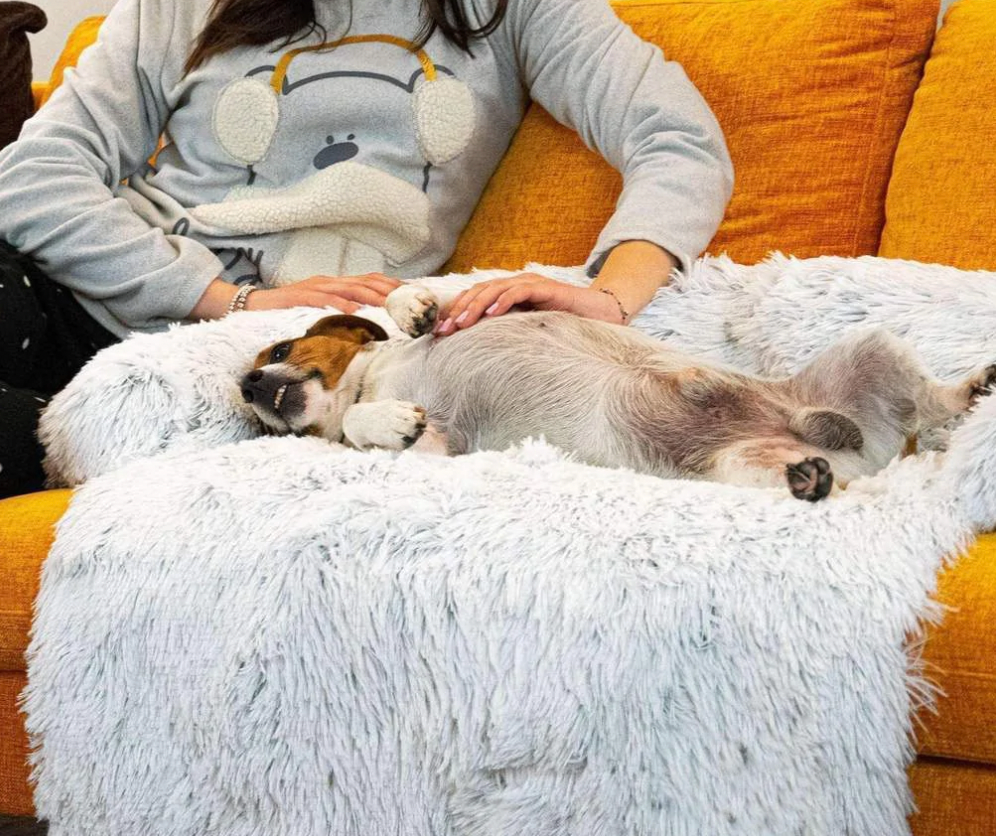 Haven Faux Fur Sofa Protector Bed — owner and dog relaxing together on the plush couch bed