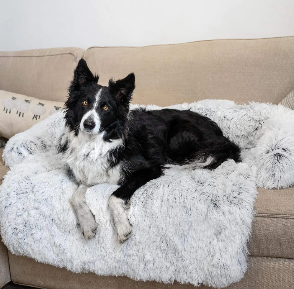 Haven Faux Fur Sofa Protector Bed — dog resting on the plush couch protector