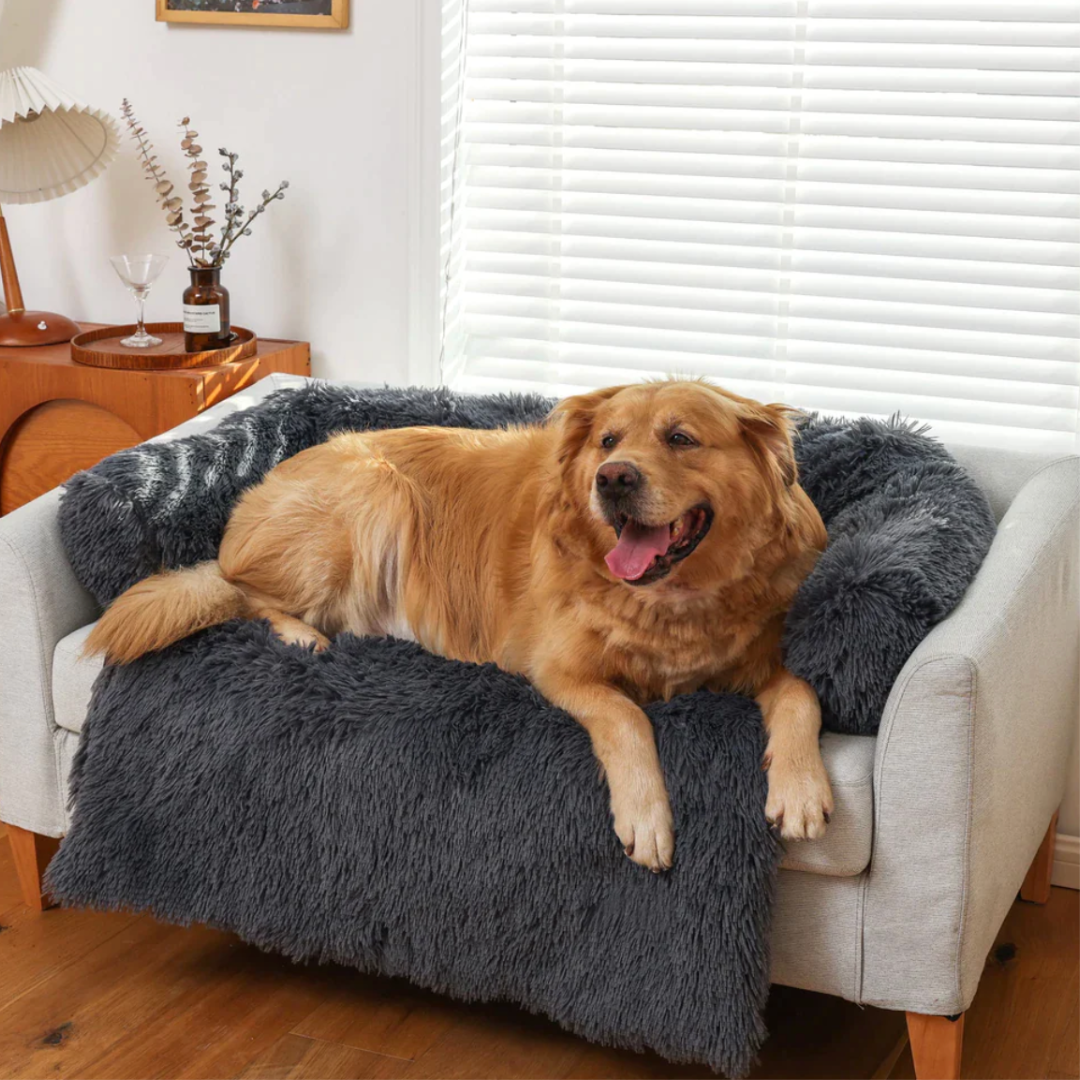 Haven Faux Fur Sofa Protector Bed — dog curled up on the cozy plush sofa bed