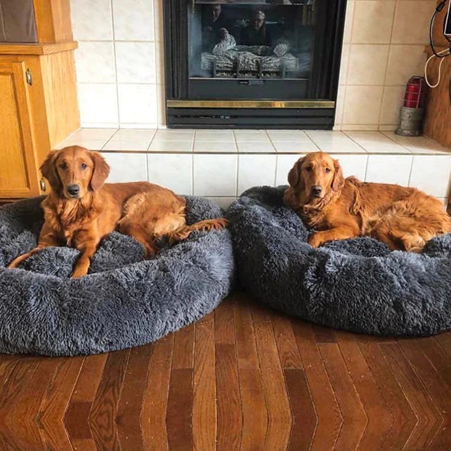Two golden retrievers resting in Nuzzinel Snooze calming donut dog beds by a fireplace