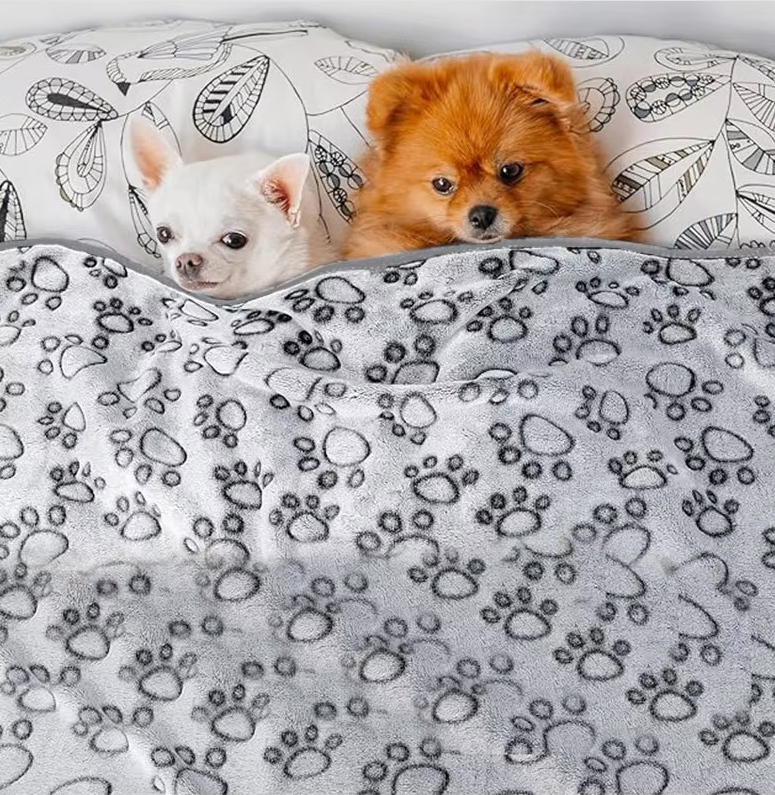 Two dogs snuggled under the Cuddle gray paw-print dog blanket