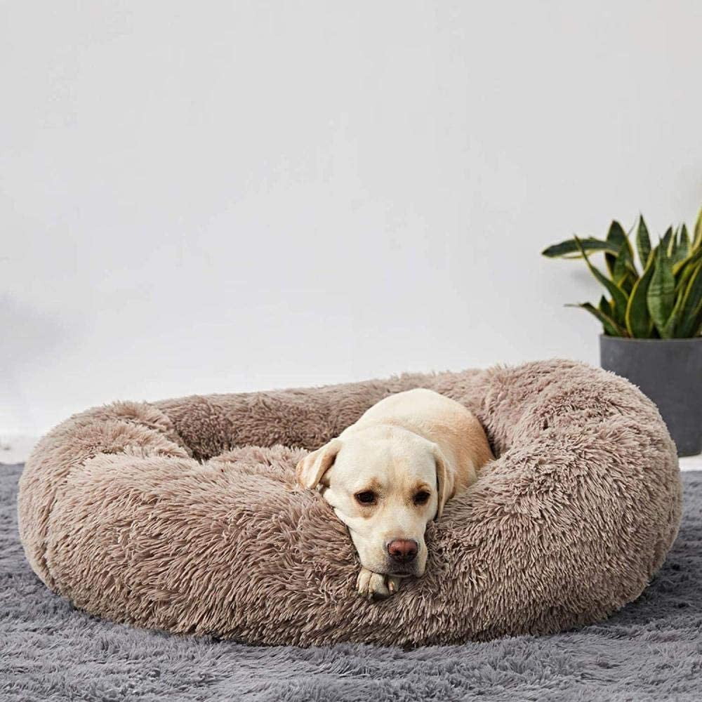 Brown Nuzzinel Snooze calming donut dog bed with a dog