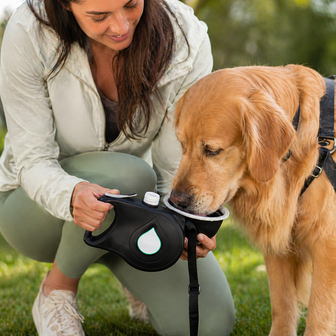 Golden retriever drinking from the Trek leash's built-in collapsible bowl on a walk