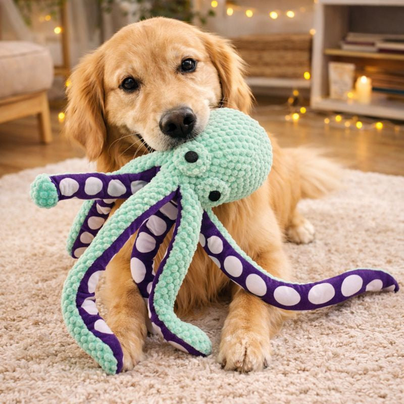 Golden retriever carrying the Ollie plush octopus dog toy at home