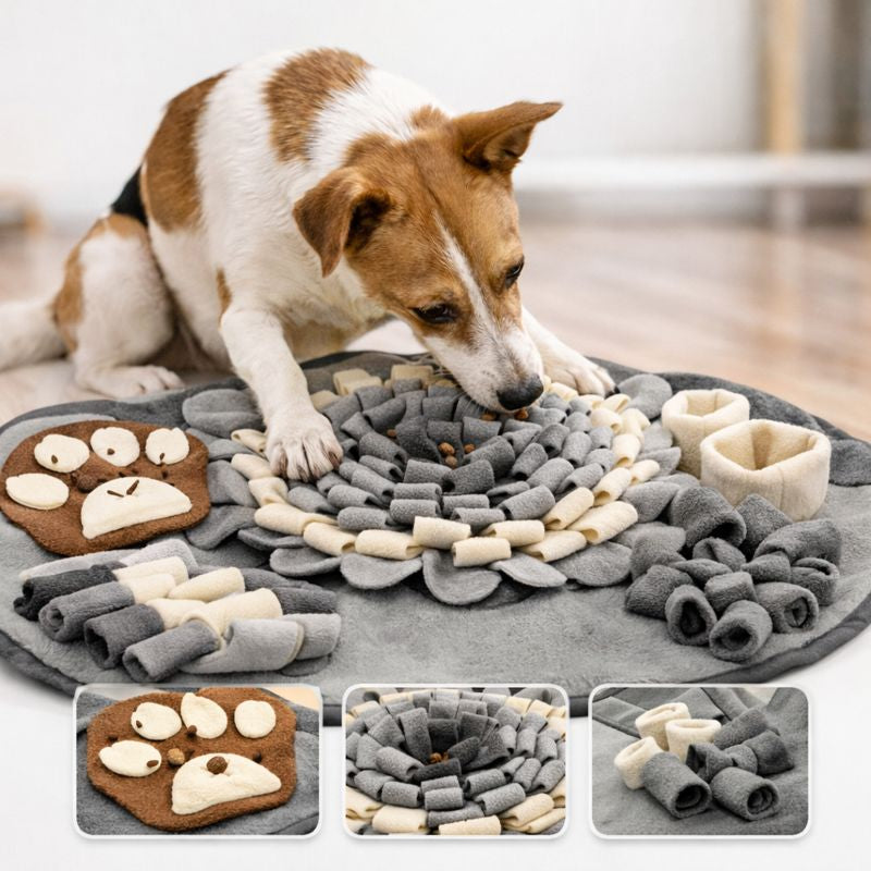 Dog foraging for treats in the grey Truffle snuffle mat