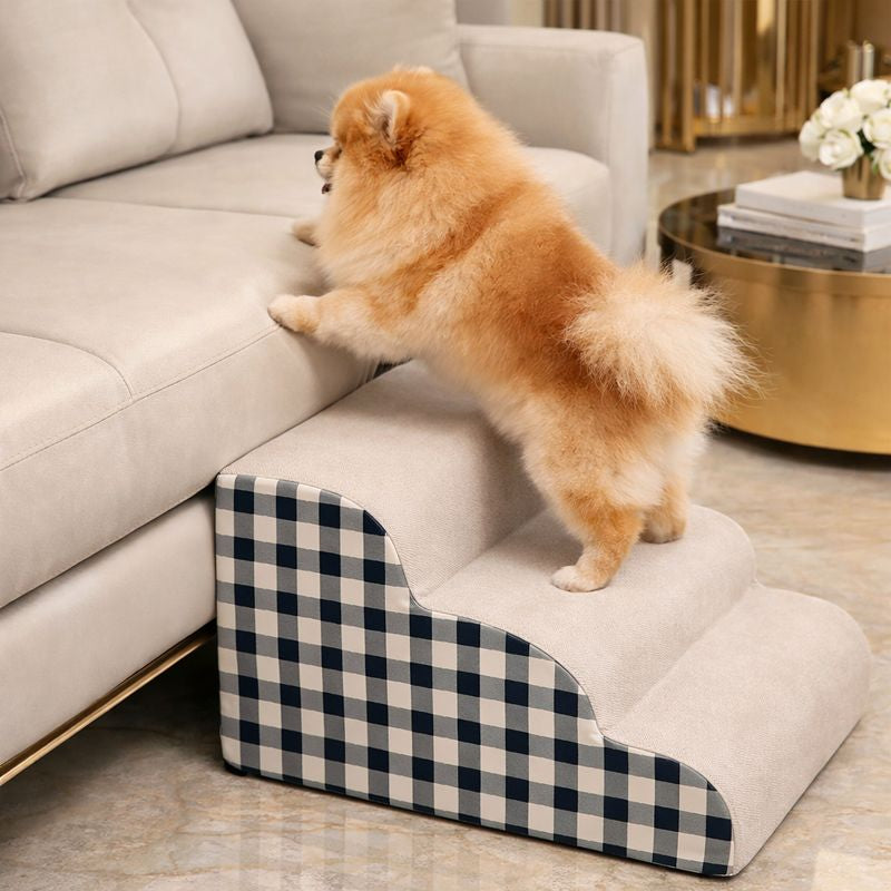 Pomeranian climbing the blue Hop Foam Dog Stairs up to a couch
