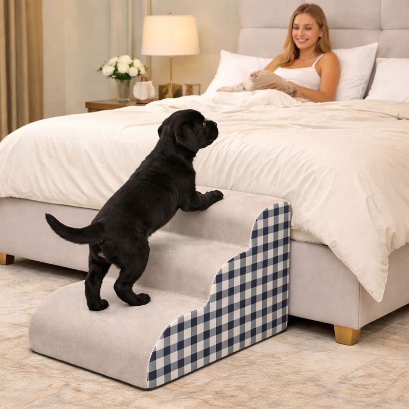 Black Labrador climbing the blue Hop Foam Dog Stairs up to a bed