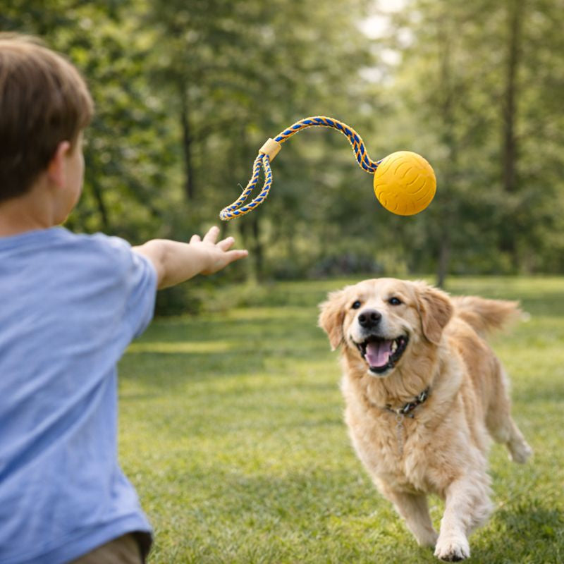 Golden retriever running with the Romp yellow EVA ball