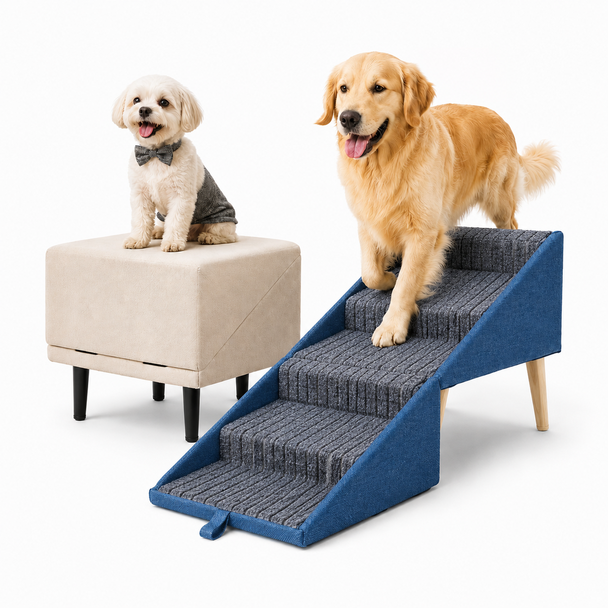 Glide 2-in-1 Dog Ramp & Stool — ramp and folding footrest stool modes shown together