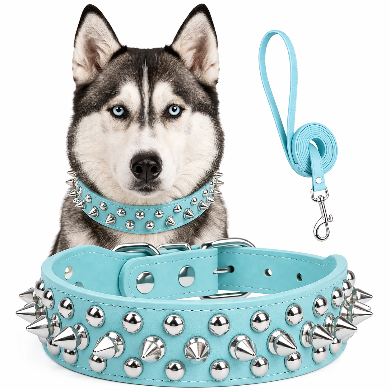Rebel Studded Dog Collar & Leash Set