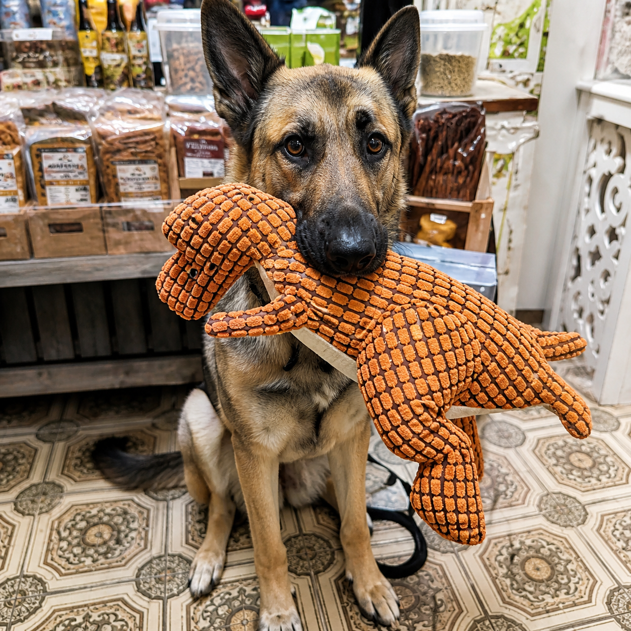 The Fur Lodge Indestructible Dinosaur Plush Dog Toy for Aggressive Chewers