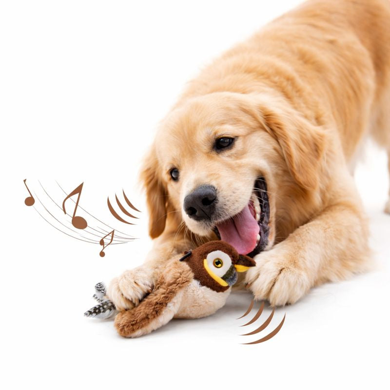 Golden retriever pouncing on the Flit chirping bird toy
