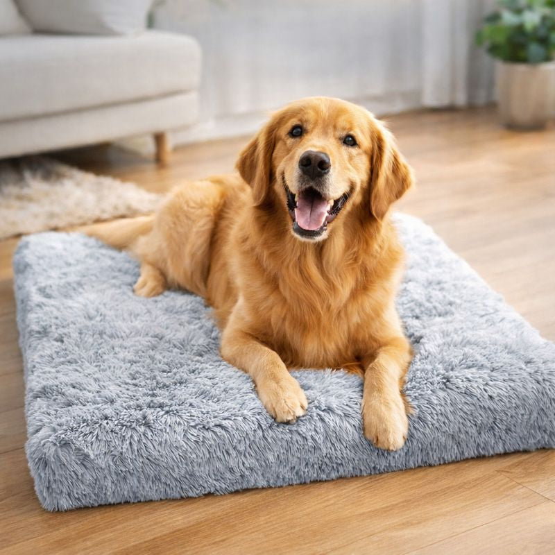 Golden retriever relaxing on the Nook calming dog sofa bed