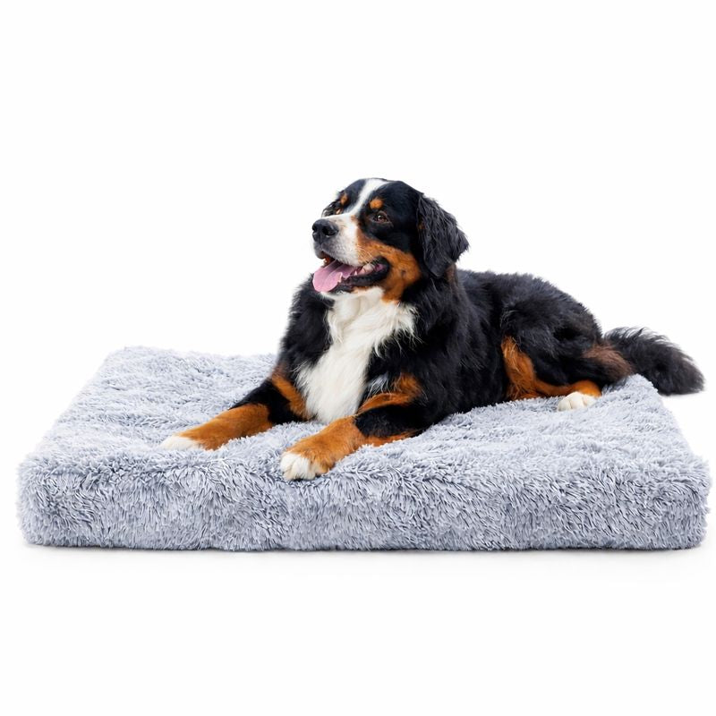 Bernese mountain dog resting on the Nook calming dog sofa bed in gray white