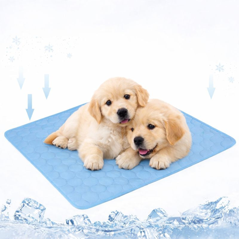 Shade cooling dog mat in blue with two puppies resting on it