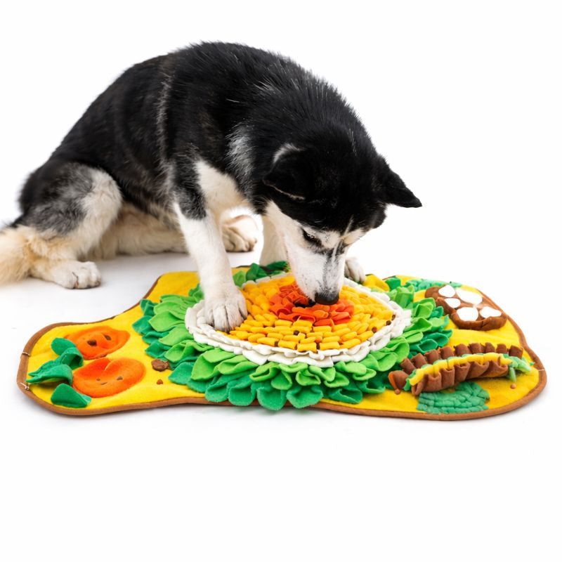 Dog foraging in the Truffle snuffle dog mat at home
